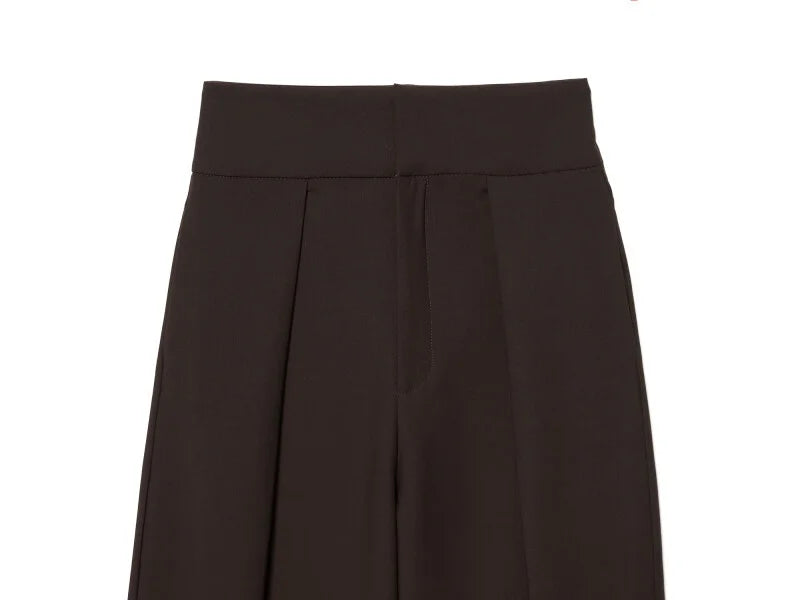 Wide Leg Pleated Trousers