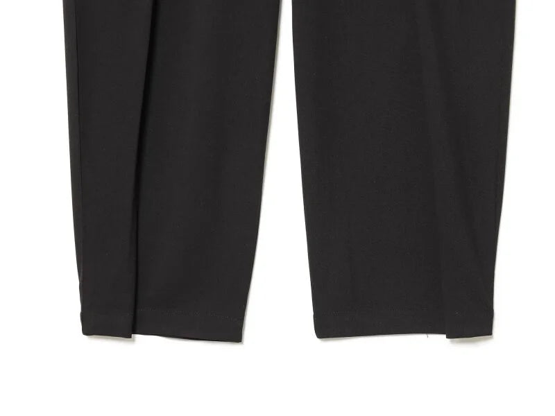 Wide Leg Pleated Trousers