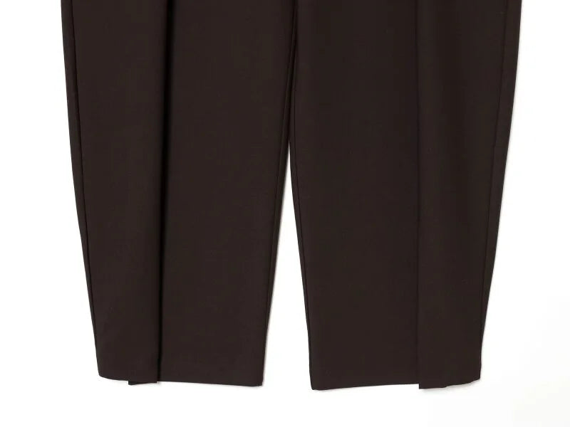 Wide Leg Pleated Trousers