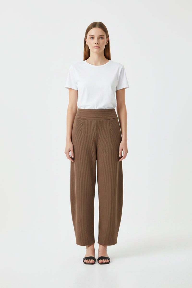 Wide Leg Pleated Trousers