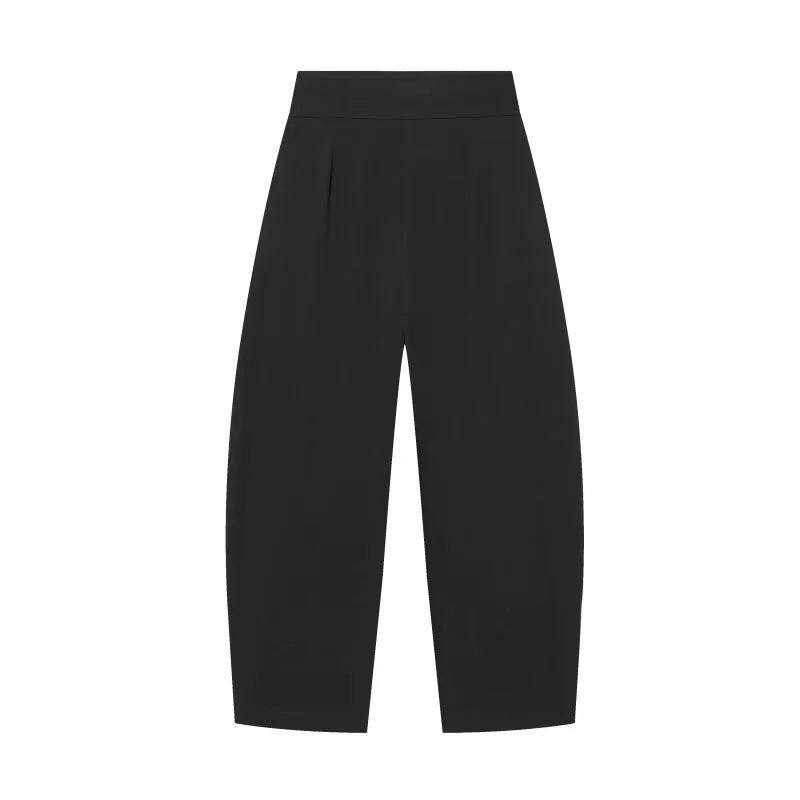 Wide Leg Pleated Trousers